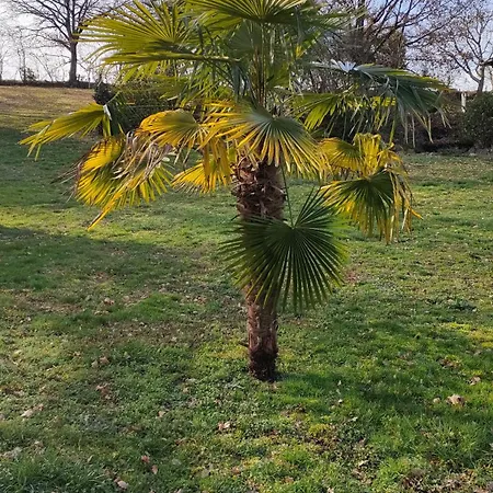 فندق مبيت وإفطار La Cifouille
