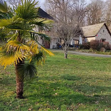 La Cifouille *